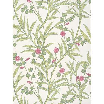 Флизелиновые обои Little Greene 0267BAMISCH коллекции National Trust Papers IV